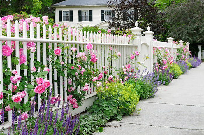 Hàng rào biệt thự sân vườn