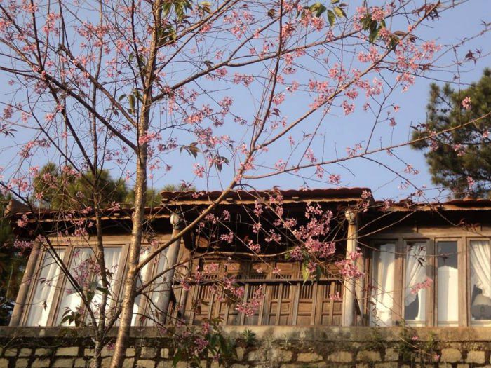 làng biệt thự osaka ở đà lạt