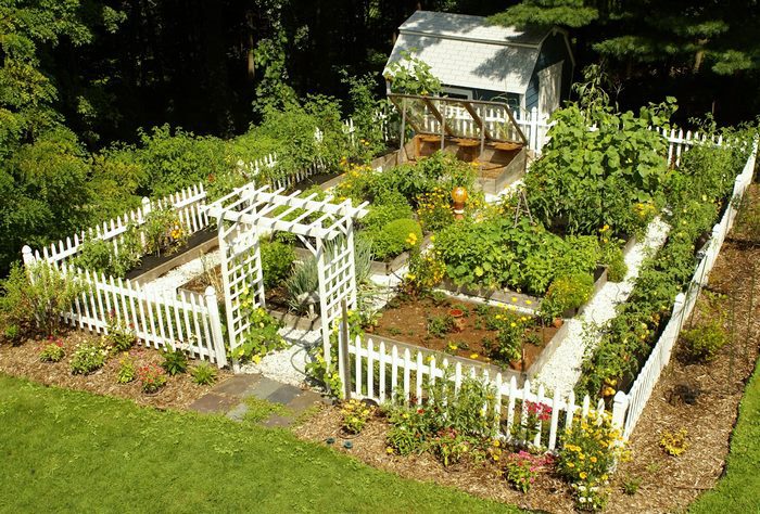 Những Ngôi Nhà Có Vườn Rau Đẹp Nhất: 10 Ý Tưởng Rẻ, Sáng Tạo