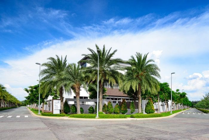 Trồng cây gì trước nhà biệt thự