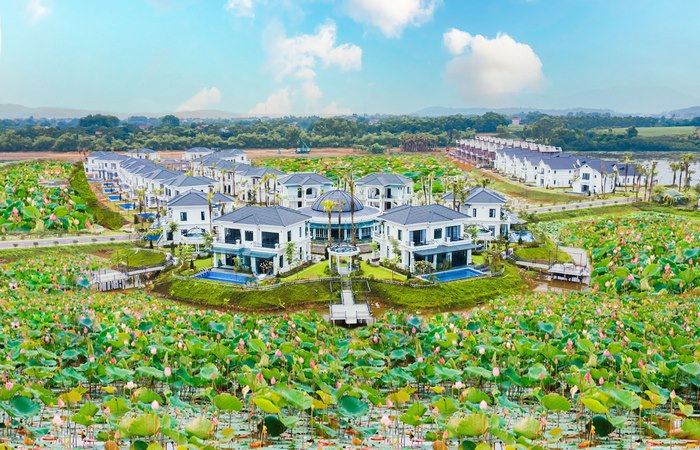 Trồng cây gì trước nhà biệt thự