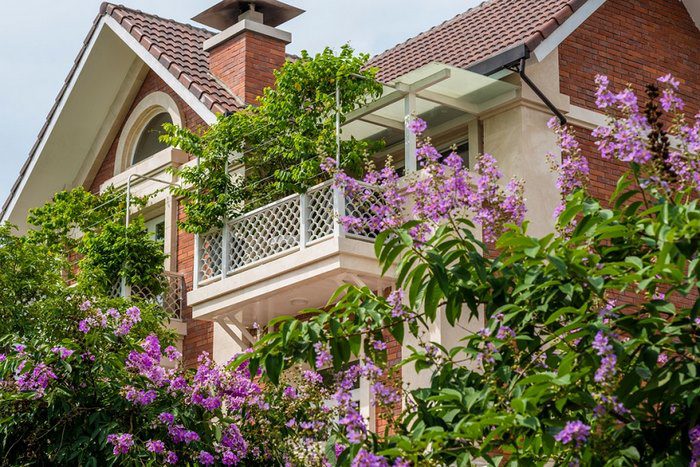Trồng cây gì trước nhà biệt thự